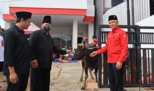 Qurban 11