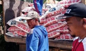 1111 - Upaya Pemkab Tingkatkan Produksi Tanaman, Disbun Kukar Distribusikan Saprodi dan Pupuk Bagi 30 Pekebun