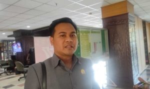 Romadhony 3009