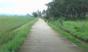 Pembangunan 8 Ruas Jalan