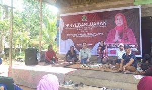 ely sosper 0710 kukar