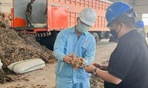 Pabrik rumput laut Muara Badak