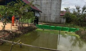 pembudidaya ikan Desa Purwajaya